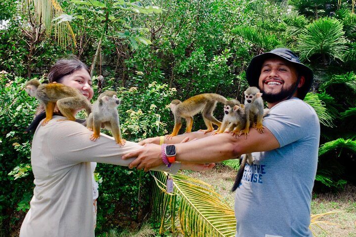 Visitantes interactuando con monos ardilla durante la excursión Monkeyland